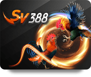 Explore Live Sports Options on RR88 Thể Thao VIP Now